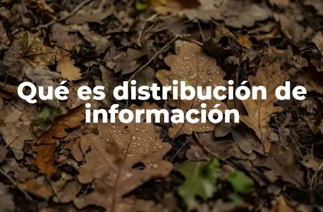 Qué es Distribución de Información