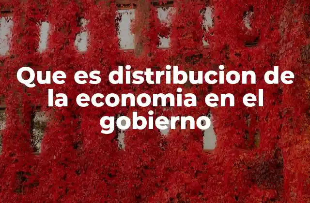 Que es Distribucion de la Economia en el Gobierno