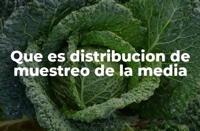 Cómo se forma la distribución de muestreo de la media