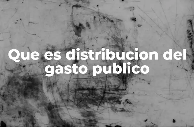 Que es Distribucion Del Gasto Publico