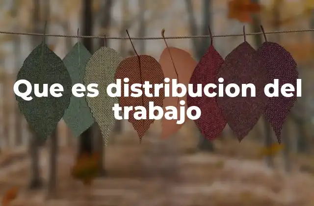Que es Distribucion Del Trabajo