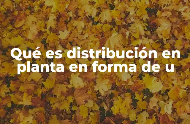 Qué es Distribución en Planta en Forma de u