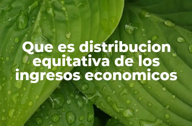Que es Distribucion Equitativa de los Ingresos Economicos