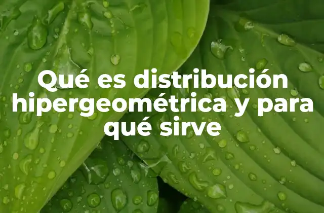 Qué es Distribución Hipergeométrica y para Qué Sirve