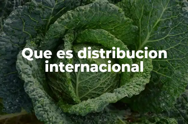 Que es Distribucion Internacional