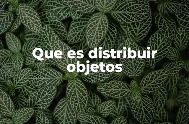 Que es Distribuir Objetos