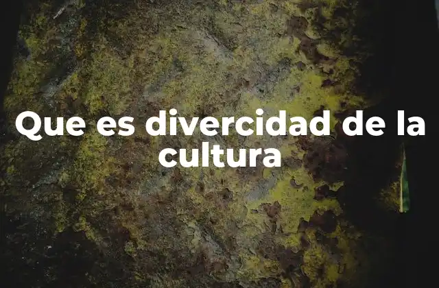 Que es Divercidad de la Cultura 2 La riqueza que aporta la diversidad cultural a la sociedad