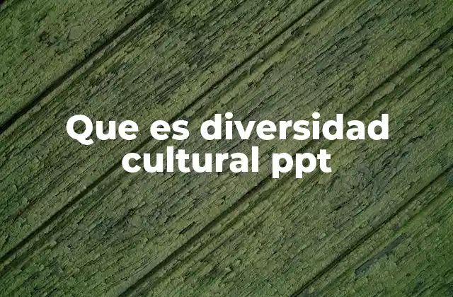 La importancia de abordar la diversidad cultural en formatos visuales