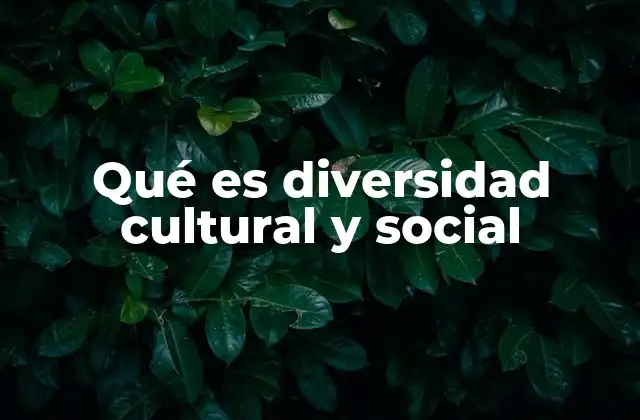 Qué es Diversidad Cultural y Social