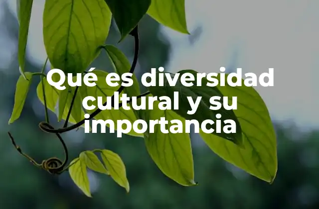 Qué es Diversidad Cultural y Su Importancia