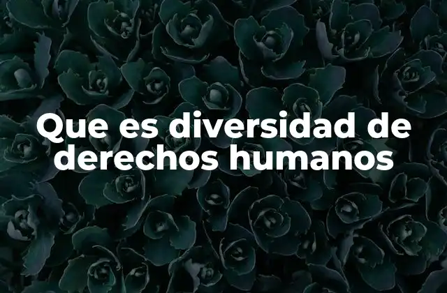 Que es Diversidad de Derechos Humanos 2 La importancia de reconocer diferentes tipos de derechos