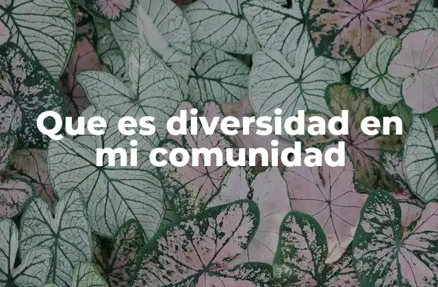 Que es Diversidad en Mi Comunidad