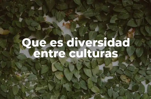 Que es Diversidad entre Culturas