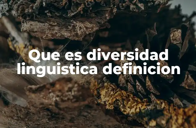 Que es Diversidad Linguistica Definicion