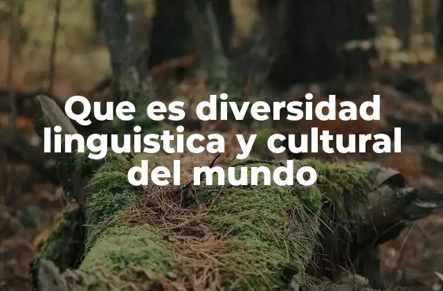 Que es Diversidad Linguistica y Cultural Del Mundo