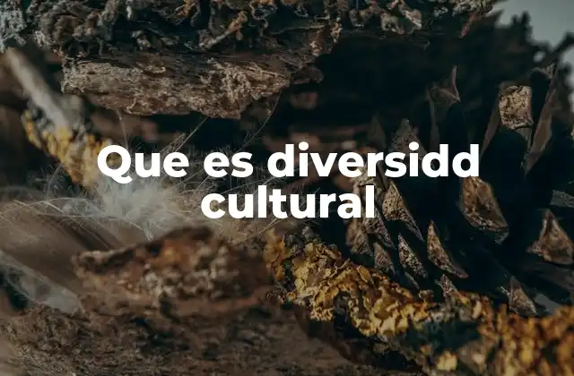 Que es Diversidd Cultural