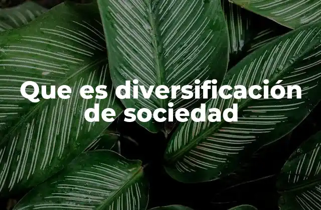 La diversidad como pilar de la convivencia moderna