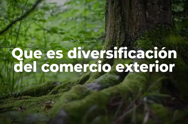 Que es Diversificación Del Comercio Exterior