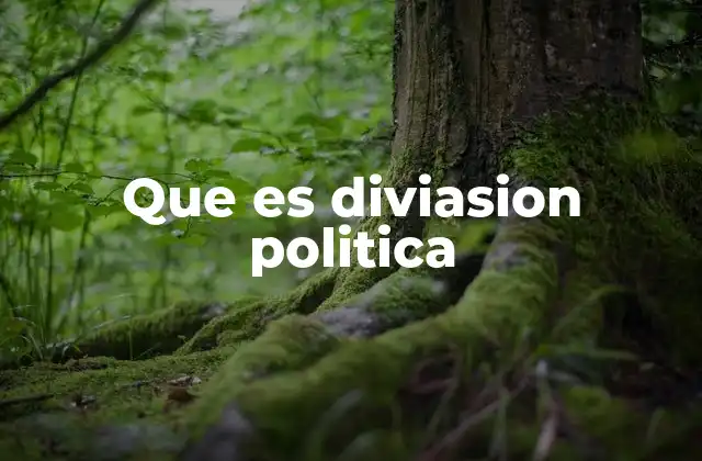 Que es Diviasion Politica