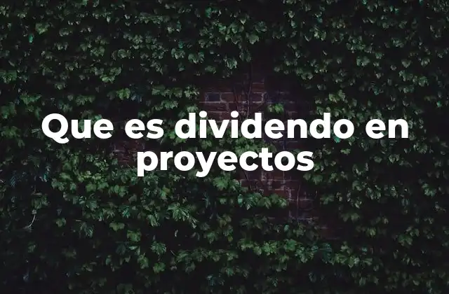 Que es Dividendo en Proyectos