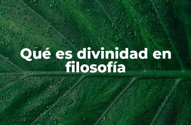 Qué es Divinidad en Filosofía 2 Lo trascendental y lo absoluto en la filosofía