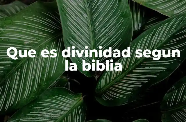 Que es Divinidad Segun la Biblia 2 La divinidad en la revelación bíblica