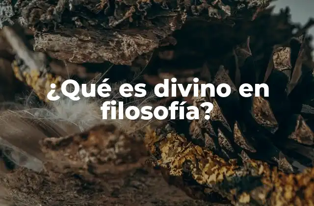 ¿qué es Divino en Filosofía? 2 Lo trascendente y su relación con lo divino en la filosofía