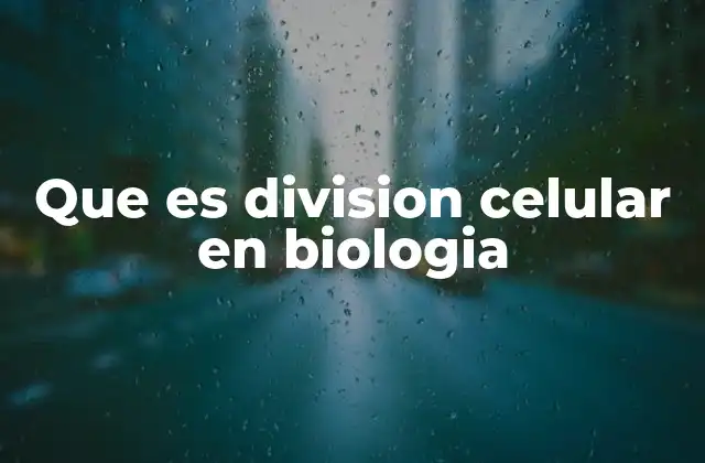 La importancia de la división celular en la vida de los organismos