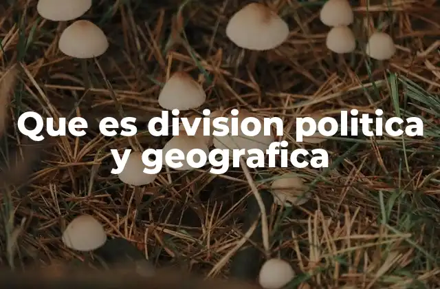 Que es Division Politica y Geografica
