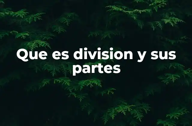 Que es Division y Sus Partes