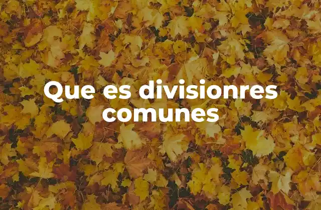 Que es Divisionres Comunes