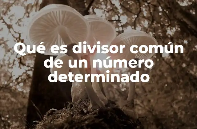 Qué es Divisor Común de un Número Determinado
