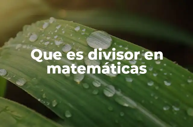 Que es Divisor en Matemáticas