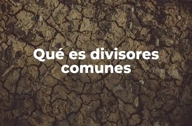Qué es Divisores Comunes