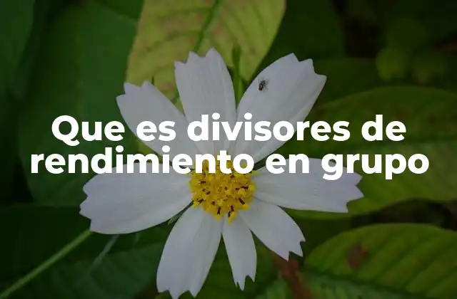 Que es Divisores de Rendimiento en Grupo