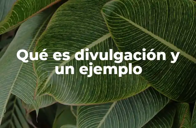 Qué es Divulgación y un Ejemplo 2 La importancia de hacer accesible el conocimiento