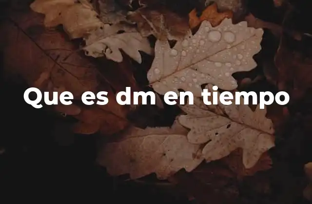 Que es Dm en Tiempo