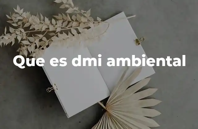 Que es Dmi Ambiental