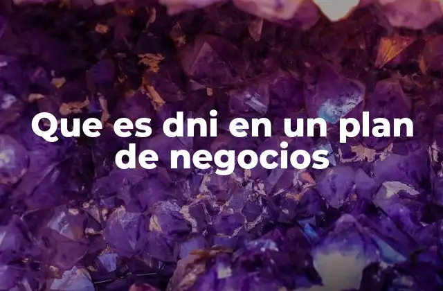 Que es Dni en un Plan de Negocios