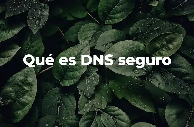 Qué es Dns Seguro