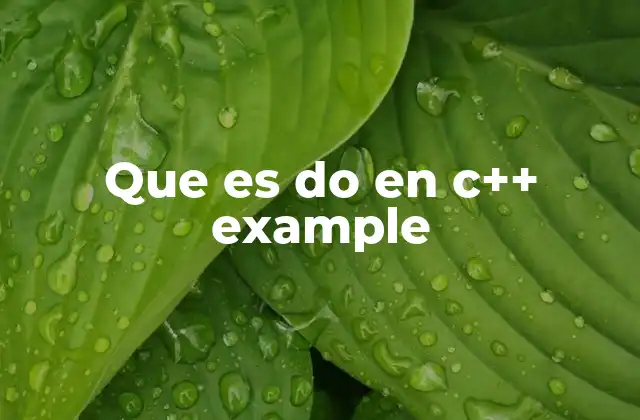 Que es Do en C++ Example