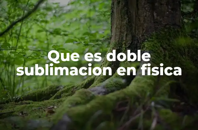 Que es Doble Sublimacion en Fisica