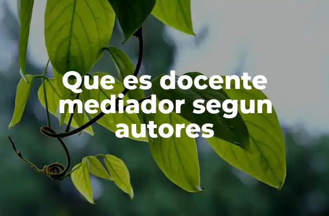 Que es Docente Mediador Segun Autores