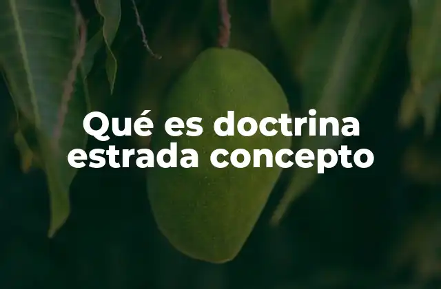 Qué es Doctrina Estrada Concepto