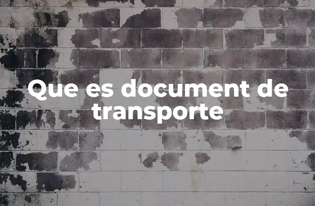 Que es Document de Transporte