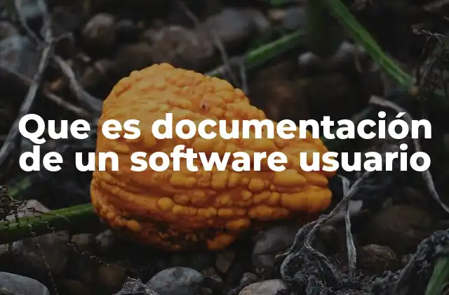 Que es Documentación de un Software Usuario
