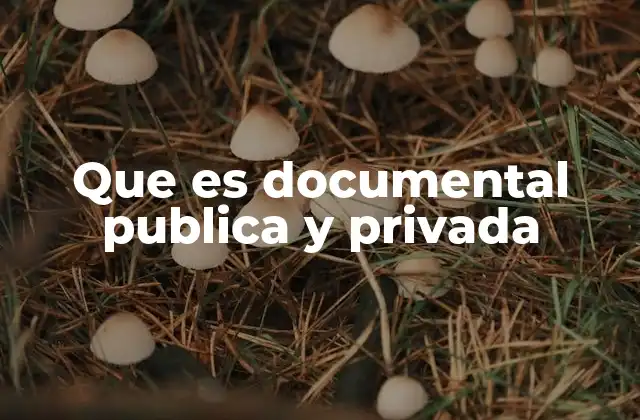 Que es Documental Publica y Privada
