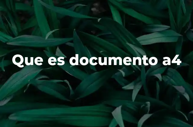 Que es Documento A4