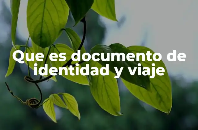 Que es Documento de Identidad y Viaje