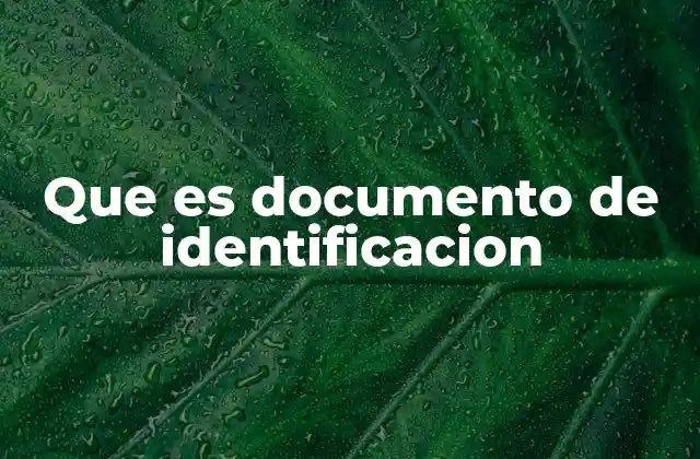 Que es Documento de Identificacion 2 La importancia de tener un documento de identidad válido